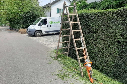 Heckenschnitt