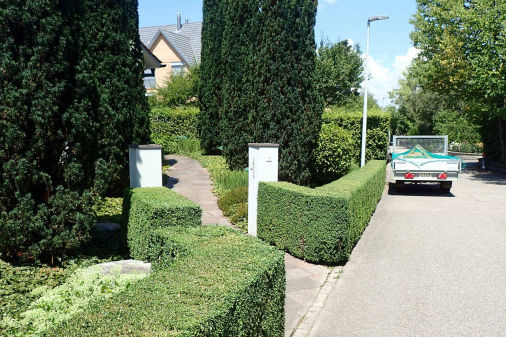 Gartenpflege