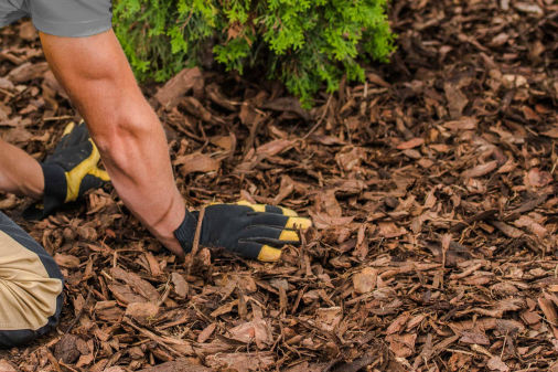 Rindenmulch ausbringen